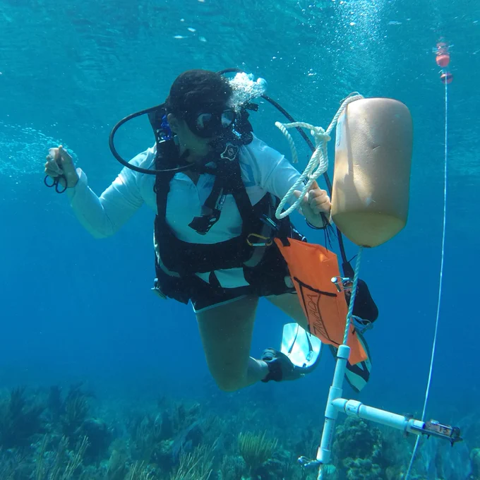 person underwater in scuba gear
