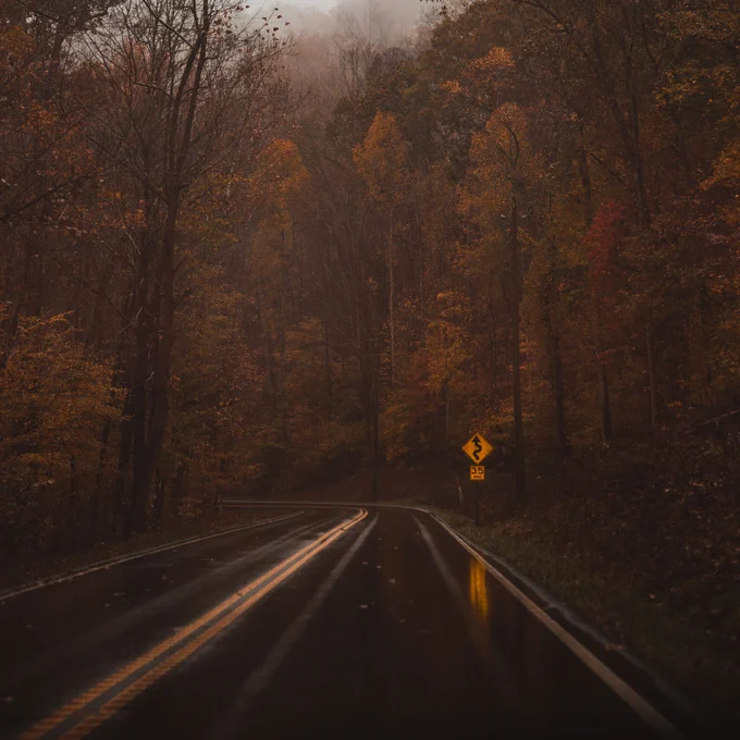 Safe driving tips for fall are essential to navigate the changing road conditions.

The arrival of autumn presents unique challenges that can turn routine drives into potential hazards.

From wet leaves on the roads, morning frost, to unexpected deer crossings – these elements demand a heightened level of caution and preparedness from drivers.

To ensure your safety and those around you, adhering to safe driving tips for fall is not just recommended but necessary.