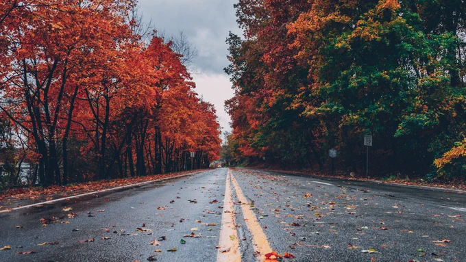 Navigating Fall Driving: Understanding the Challenges
As we transition from summer to fall, driving conditions undergo a significant shift. The challenges of navigating roads covered in wet leaves or encountering sudden school bus traffic are just some potential driving risks that drivers must be prepared for during this season.