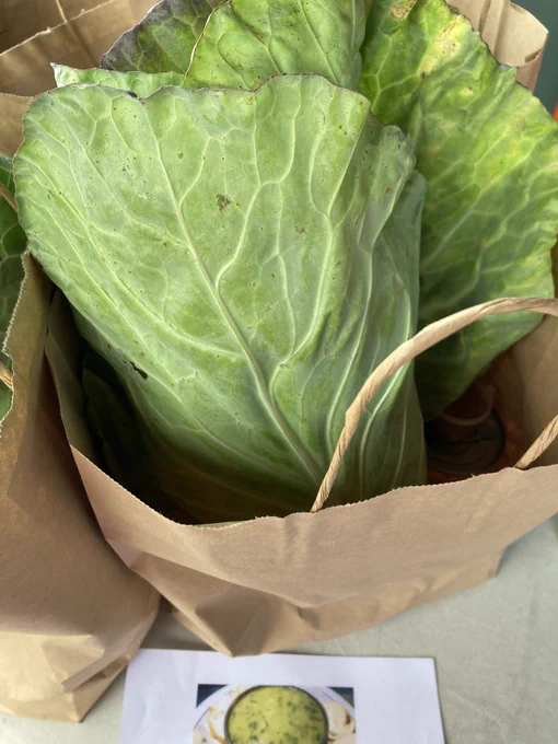 A caldo verde recipe bag with spring cabbage, potatoes, onion & chickpeas