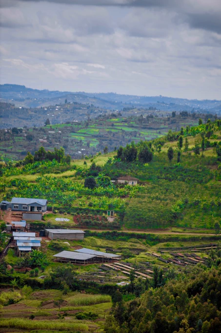 SIMBI COFFEE WASHING STATION