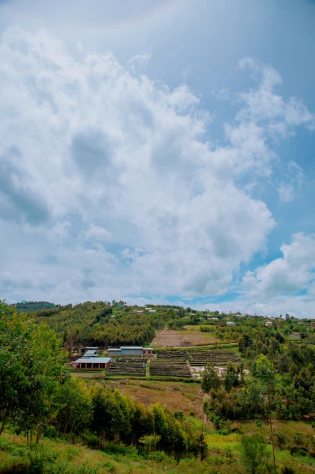 KINAZI COFFEE WASHING STATION