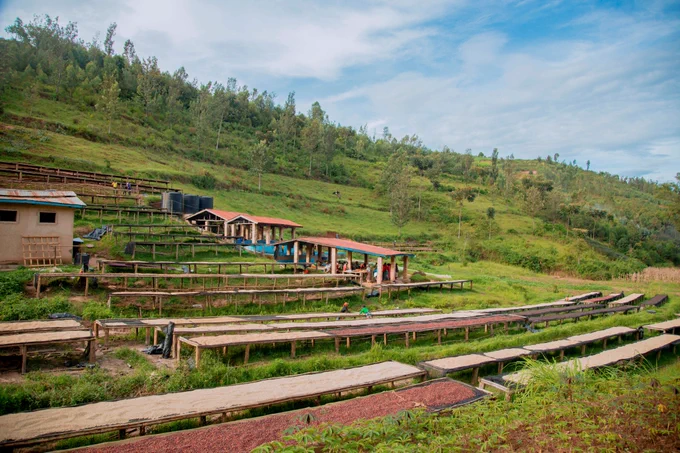 NGERA COFFEE WASHING STATION