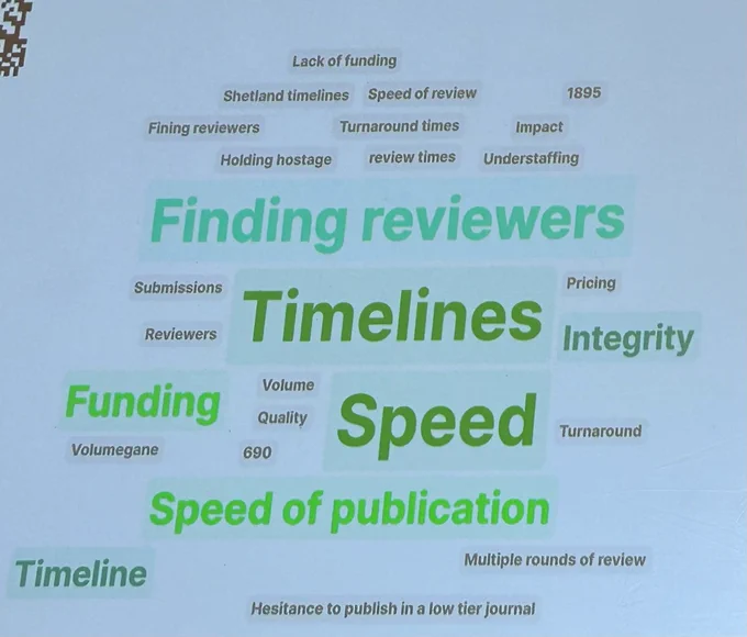 Word cloud of responses to the audience question “What are some publishing pressures you’ve heard of, encountered, or seen?”