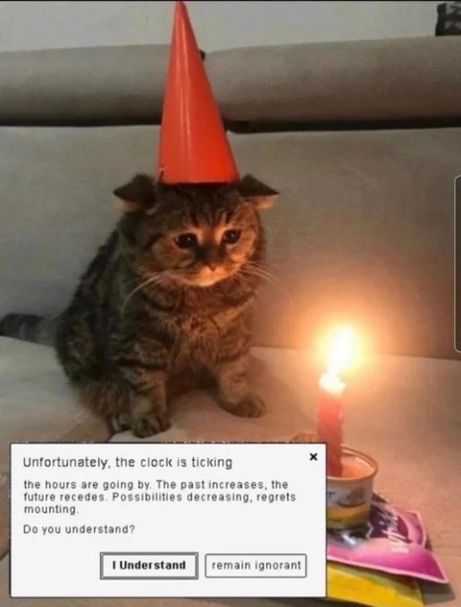 a photo displaying a sad cat wearing a birthday hat, looking at a lit candle. A computer prompt is shown reading: "Unfortunately, the clock is ticking. the hours are going by. The past increases, the future recedes. Possibilities decreasing, regrets mounting. Do you understand?" below the text are 2 buttons, one reading: "I Understand" and the other reading: "remain ignorant". The first button is selected.
