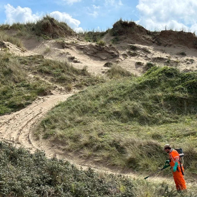 Credit: Braunton Burrows
