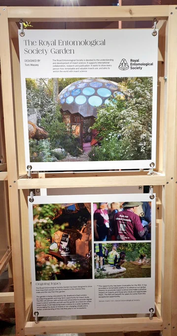 Royal Entomological Society garden display at Garden Museum 