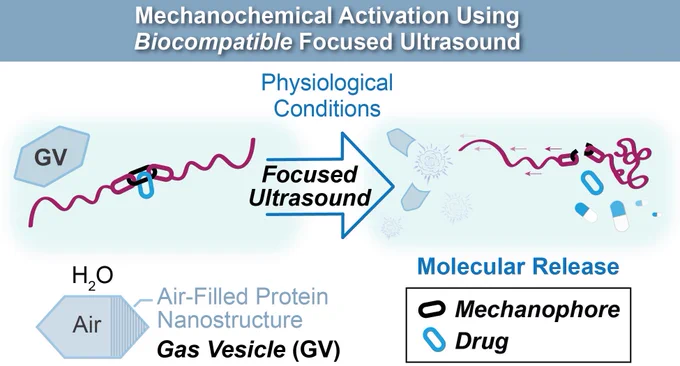 Remote control of mechanochemical reactions under physiological conditions using biocompatible focused ultrasound