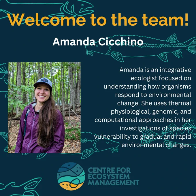 Headshot of Amanda Cicchino on a navy background with text "Amanda is an integrative ecologist focused on understanding how organisms respond to environmental change. She uses thermal physiological, genomic, and computational approaches in her investigations of species vulnerability to gradual and rapid environmental changes."
