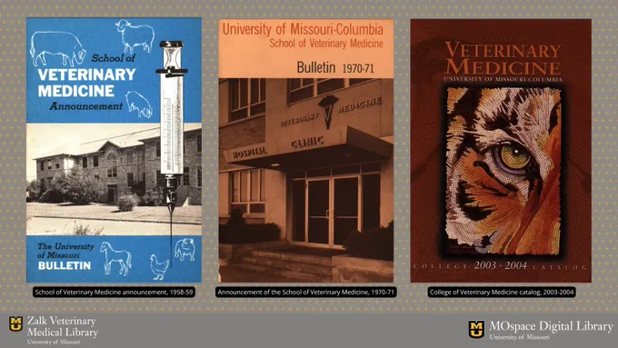 The covers of three course catalogs from the College of Veterinary Medicine. The left catalog has a blue cover with a black and white building, and is from 1958/59; the center catalog has a red sepia photo of the veterinary hospital clinic from 1970/71; the right cover is red with a mosaic of a tiger eye, from 2003/04.