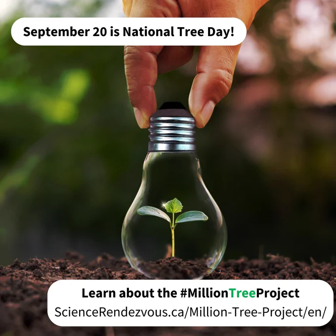 Text reads: “September 20 is National Tree Day! 
Learn about the #MillionTreeProject
ScienceRendezvous.ca/Million-Tree-Project/en/“