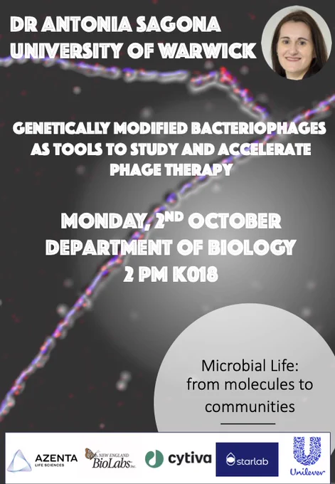 Poster advertising Dr Antonia Sagona's seminar on 2nd October 
