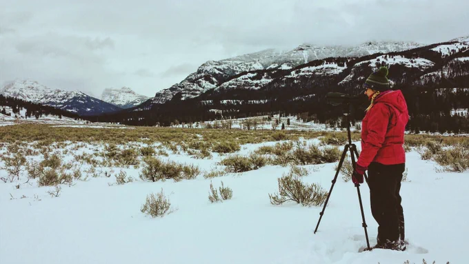 Through the Yellowstone Wolf Project, Lizzy Baxter observed and charted wolves and their predator-to-prey relationships.