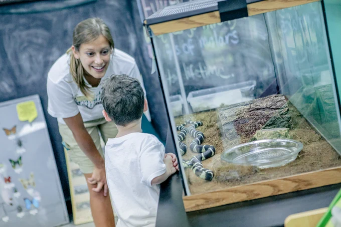 Smiling young woman leans over to talk to young child with back facing camera next to a snake terrarium