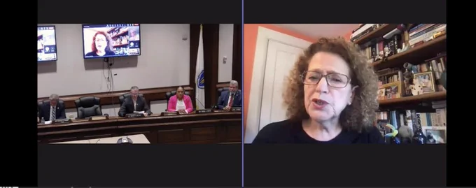 Rep. Carol Doherty testifying on teams