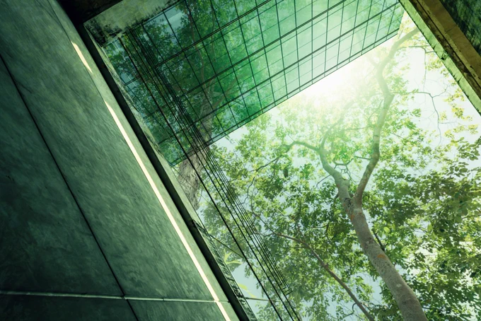 Green climate friendly building shaded by tree. Photo from Shutterstock
