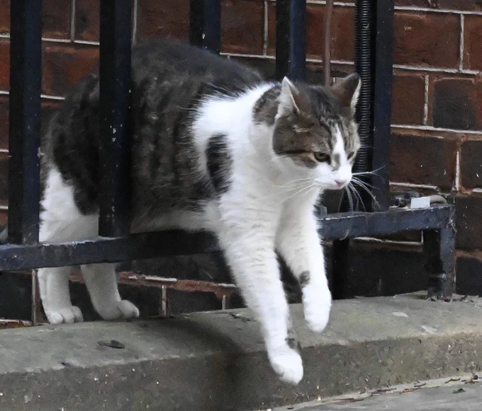 Larry passing through a gap in metal railings
