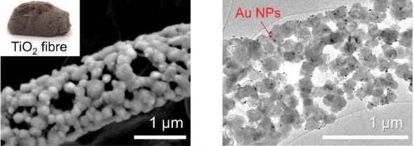 Two tiles: the hierarchical porous TiO2 fibres and the gold nanoparticles