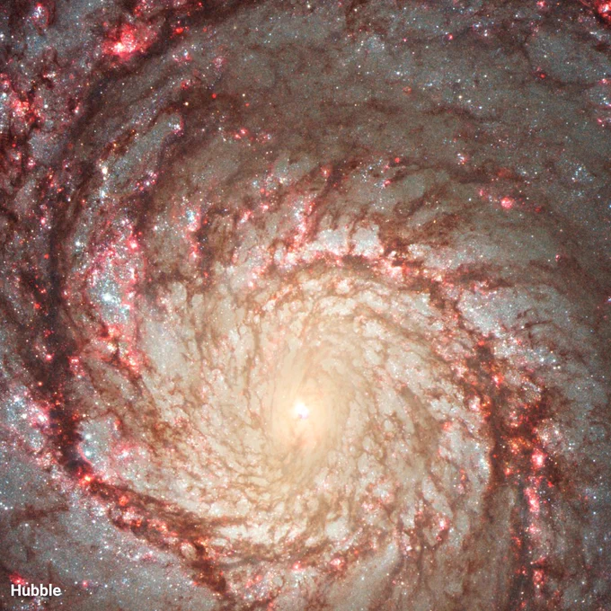 A large spiral galaxy fills the image, with a bright yellow core surrounded by spiral arms laced with dark dust, bright pink regions of star formation, and blue pockets of star clusters.