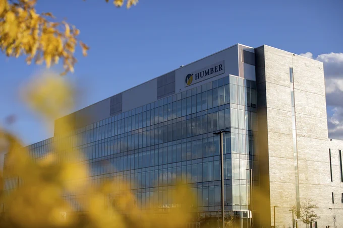 A Humber building is covered with golden leaves.