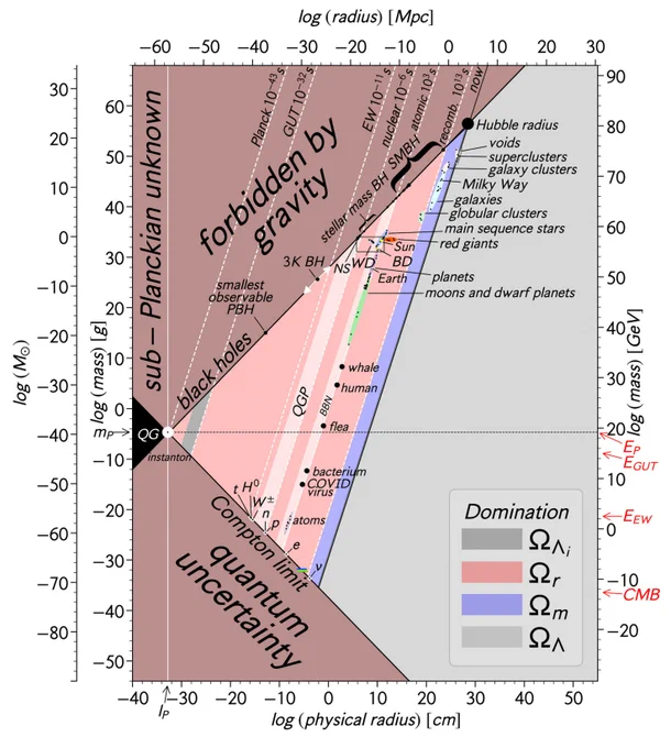 Plot of objects with different mass and radius, going from subatomic particles up through living things up through stars and black holes.