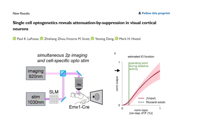 biorxiv preprint 
Single cell optogenetics reveals attenuation-by-suppression
in visual cortical neurons
Paul K. LaFosse1,2,3, Zhishang Zhou1
, Victoria M. Scott1
, Yanting Deng1
, Mark H. Histed1