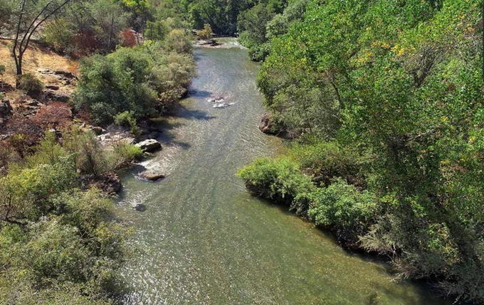 Image of river with side vegetation.