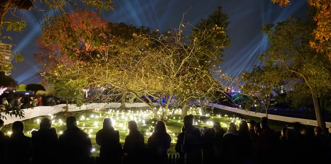 Image showing a a magical installation co-produced with the British Library which will go back in time to the ancient forest of Leodis, with visitors strolling through a tranquil glade filled with glowing flowers, fairies, and mystical stone circles.