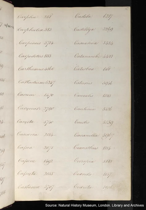 A page with two columns of text – each line in each column has a word followed by a number; all the words are in alphabetical order and begin with C.