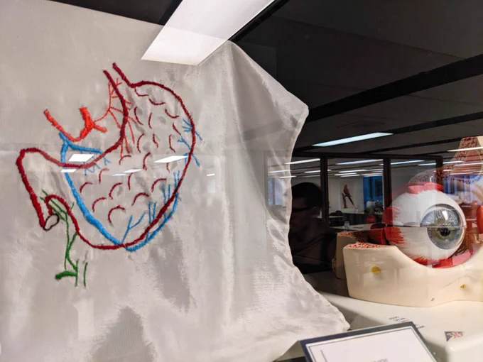 Embroidery on white cloth in foreground with anatomical model of an eyeball in the background.