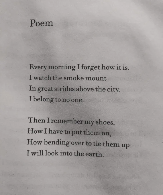 Poem

Every morning I forget how it is.
I watch the smoke mount
In great strides above the city.
Tbelong to no one.

Then I remember my shoes, 
How I have to put them on, 
How bending over to tie them up 
I will look into the earth.