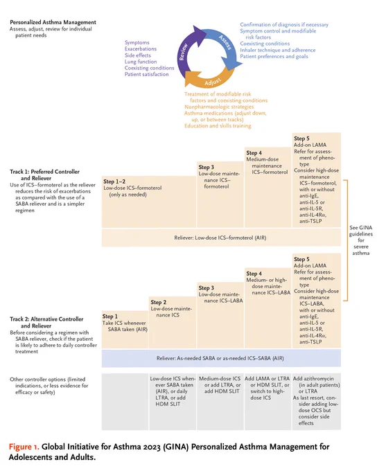 Global Initiative for Asthma 2023 (GINA) Personalized Asthma Management for Adolescents and Adults
