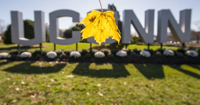 UConn's gateway sign with a yellow leaf acting as the "O"