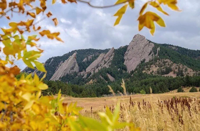 golden fall leaves surrounding view of flatirons