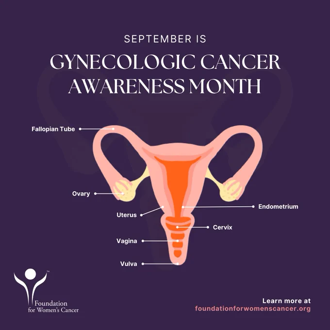 September is Gynecologic Cancer Awareness Month. Foundation for Women's Cancer. Learn more at foundationforwomenscancer.org. A graphic drawing of gynecologic anatomy indicates location of Fallopian Tube, Ovary, Uterus, Endometrium, Cervix, Vagina and Vulva.