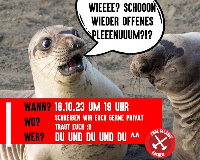 Eine Robbe guckt sehr entsetzt und spricht in eine Sprechblase: "Wieee? Schooon wieder offenes Plenum?!?" In einem roten Kasten steht:" Wann? 18.10.23 um 19 Uhr. Wo? Schreiben wir euch gerne privat, traut euch! Wer? Du und Du und Du ^^ "