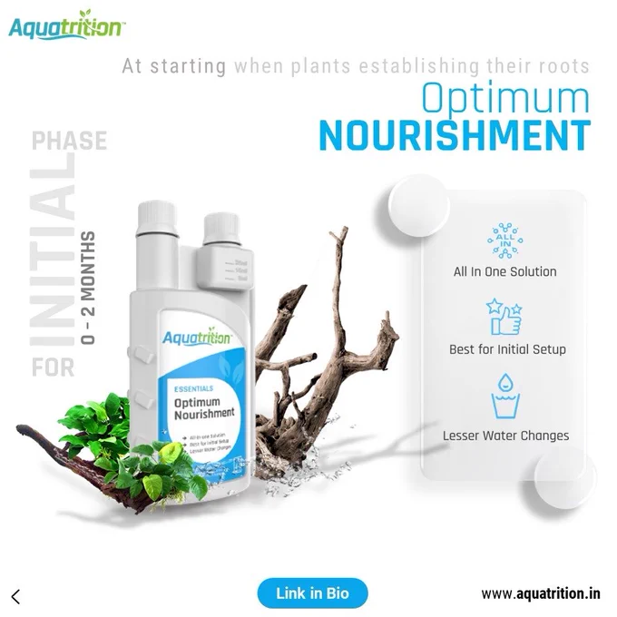Optimum Nourishment: 
Begin your journey right. Use this specially formulated mix when you're setting up, ensuring your plants have the best start possible.

Your plants deserve the best. Start with Aquatrition.