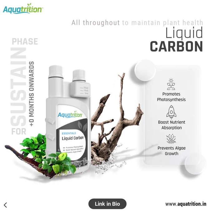 Liquid Carbon: 
An essential for every stage. This liquid carbon supplement ensures your plants have the carbon they require consistently, enhancing their health and vibrancy.

Your plants deserve the best. Start with Aquatrition.