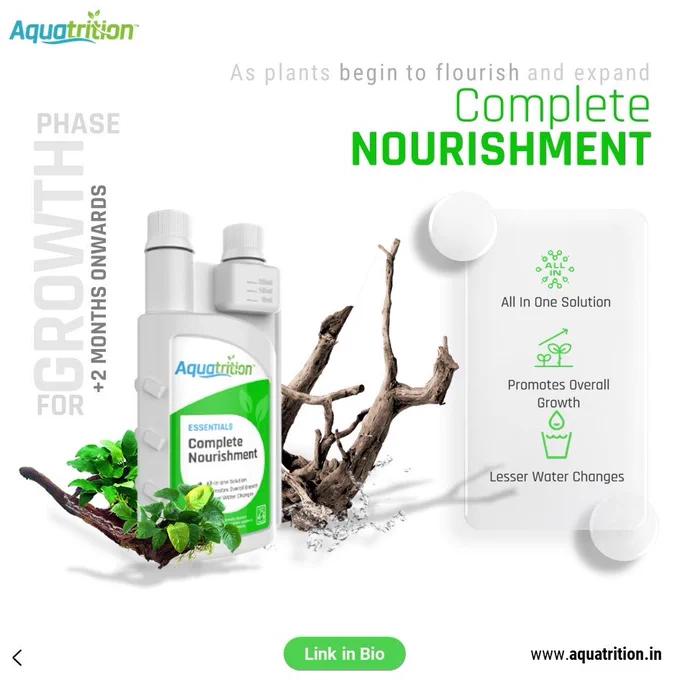 Complete Nourishment: 
As your plants establish their roots and start to flourish, transition to this blend. It's tailored to provide the vital nutrients they need as they grow and thrive.

Your plants deserve the best. Start with Aquatrition.