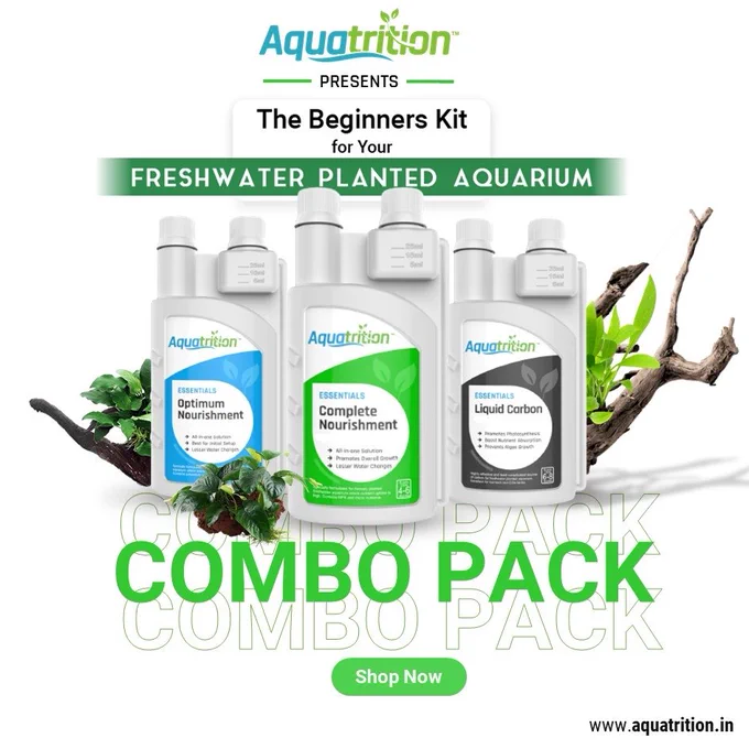 Aquatrition Beginner's Kit: The Ultimate Trio for Thriving Aquatic Plants 🌱

Optimum Nourishment: Begin your journey right. Use this specially formulated mix when you're setting up, ensuring your plants have the best start possible.

Complete Nourishment: As your plants establish their roots and start to flourish, transition to this blend. It's tailored to provide the vital nutrients they need as they grow and thrive.

Liquid Carbon: An essential for every stage. This liquid carbon supplement ensures your plants have the carbon they require consistently, enhancing their health and vibrancy.

Your plants deserve the best. Start with Aquatrition.
