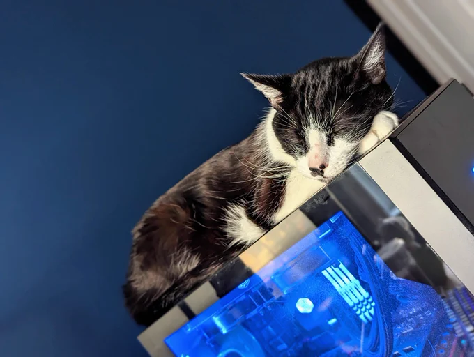 Tuxedo cat sleeping on top of a desktop pc.