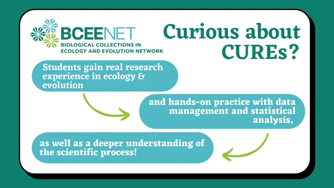 The graphic reads: “Curious about CUREs? Students gain real research experience in ecology & evolution, and hands-on practice with data management and statistical analysis, as well as a deeper understanding of the scientific process!” 