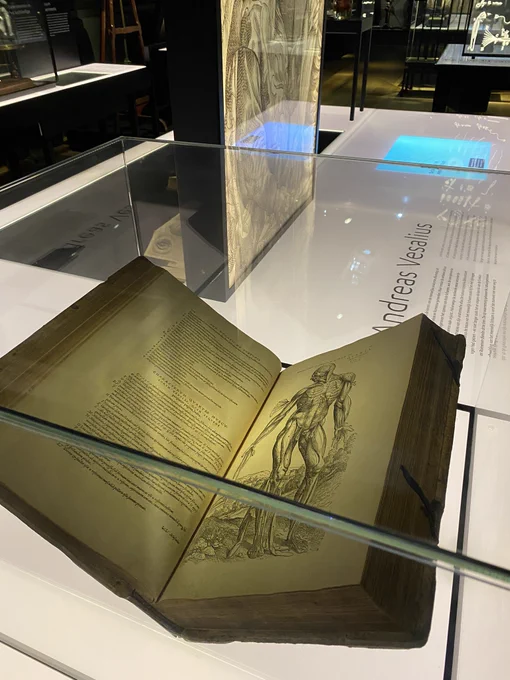 Display case containing printed book showing anatomy drawing