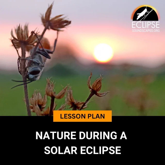 Lesson Plan: Nature During a Solar Eclipse