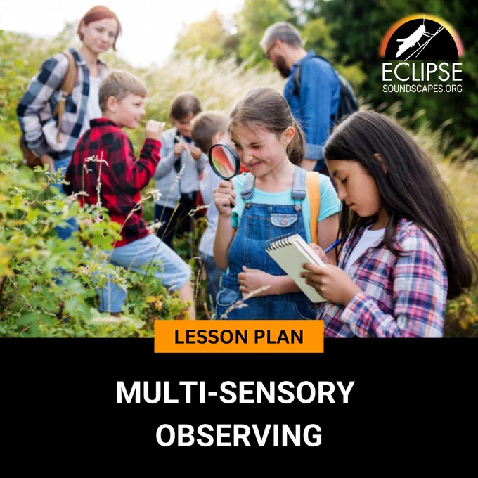 Lesson Plan: Multi-Sensory Observing