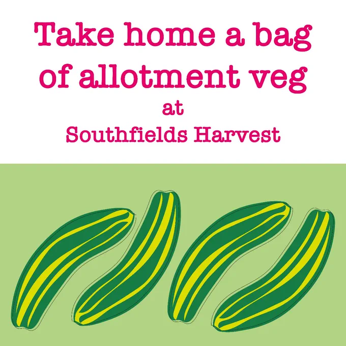Drawing of four vegetable squash. Text above reads, Take home a bag of allotment veg at Southfields Harvest