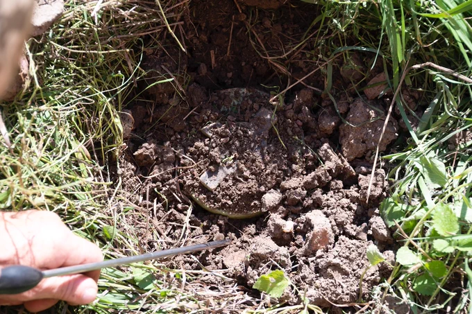 A soldier’s hand is using a metal probe to examine a possible mine or explosive device in a small, shallow area of grassed land that has been dug. The rim of a round device is visible in the dug ground.