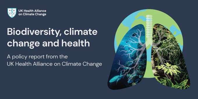 UK Health Alliance on Climate Change policy report cover an image of the Earth superimposed by lungs consisting of green foliage on one side and a marine ecosystem on the other lung. 