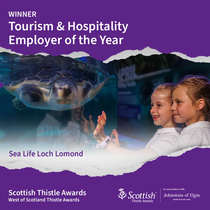Central image shows two children standing in front of a water tank holding a sea turtle. Text reads: Winner Tourism Employer of the Year, Sea Life Loch Lomond. Purple background at the bottom of the tile with text that reads: Scottish Thistle Awards, West of Scotland Thistle Awards with Scottish Thistle Awards logo, in association with Johnstons of Elgin.