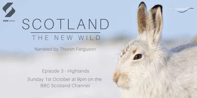 Poster for BBC Scotland's 'Scotland The New Wild', airing sunday 1st october at 9pm